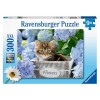 Puzzle 300 Piccolo Gattino Xxl 300 Pz di Ravensburger Puzzle 300 Pezzi Xxl