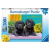 Puzzle 300 Vita da Cucciolo Xxl 300 Pz di Ravensburger Puzzle 300 Pezzi Xxl