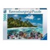 Puzzle 2000 Un Tuffo alle Maldive 2000 Pz di Ravensburger Puzzle Adulti 2000 Pz