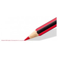 Noris Colour, Astuccio con 24 Matite Colorate Esagonali, in Colori Assortiti di Staedtler
