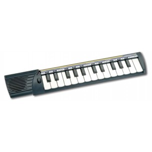 Concertino 25 Tasti Passo Medio di Bontempi